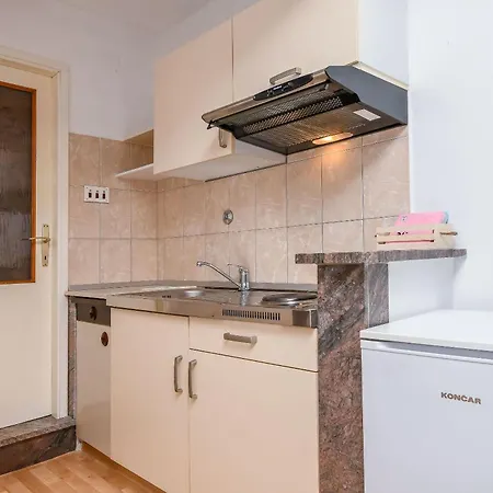 Apartment Studio Fabjanac *